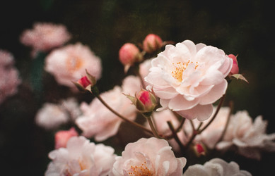 Similar image 21757598