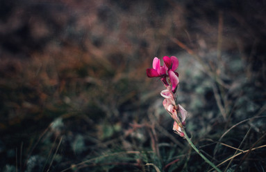 Similar image 21757599