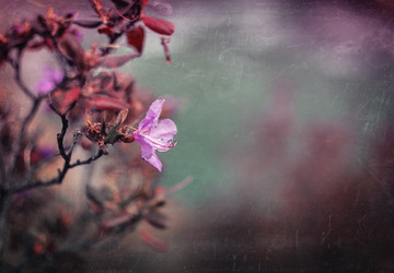 Similar image 21757601