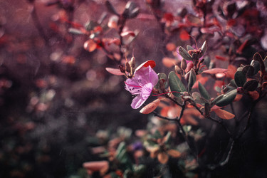 Similar image 21757602