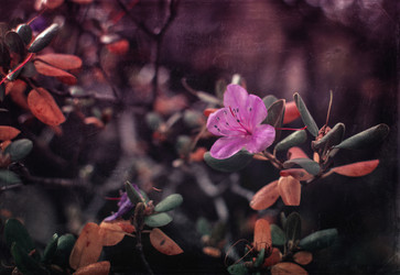 Similar image 21757603