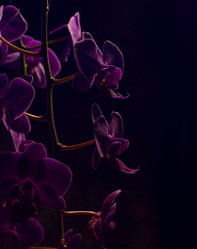 Similar image 21757604