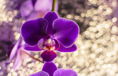 Similar image 21757605