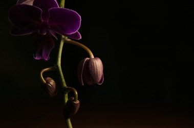 Similar image 21757606