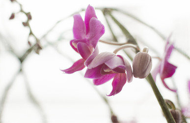 Similar image 21757607