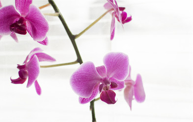 Similar image 21757608