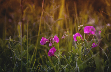 Similar image 21757610