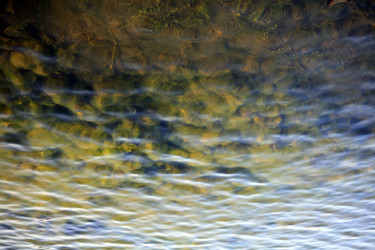 Similar image 21758301