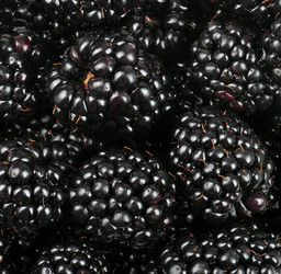 Similar image 21757699