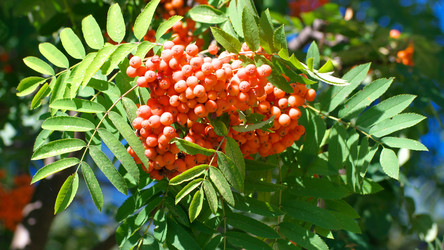 Similar image 21757700