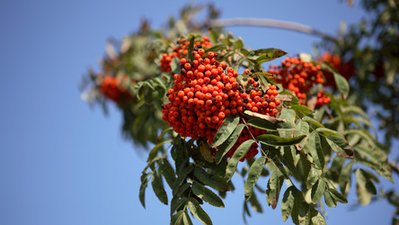 Similar image 21757701