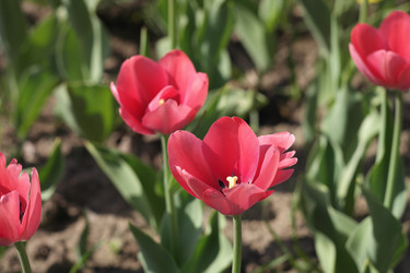 Similar image 21757708