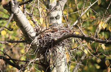 Similar image 21757710