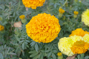 Similar image 21757717