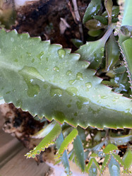 Similar image 21757721