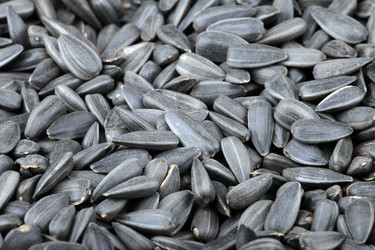 Similar image 21757732