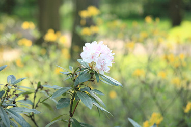 Similar image 21757735