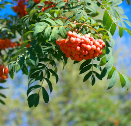 Similar image 21757737