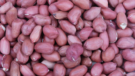 Similar image 21757740