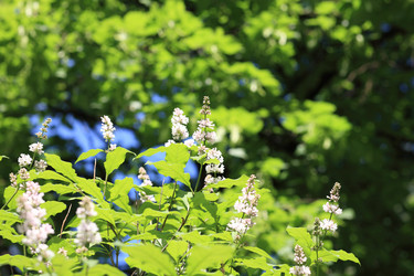 Similar image 21758345