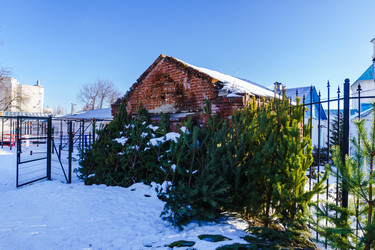 Similar image 21761488