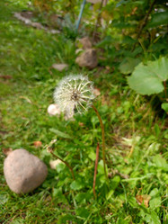 Similar image 21758055