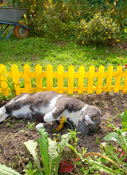 Similar image 21762580