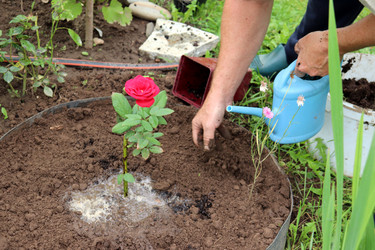 Similar image 21758058