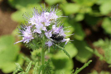 Similar image 21758064