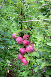 Similar image 21758067