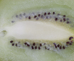 Similar image 21758353