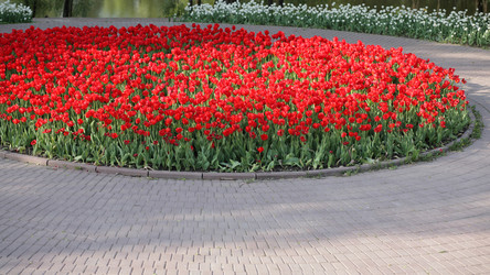 Similar image 21758354