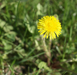 Similar image 21758356