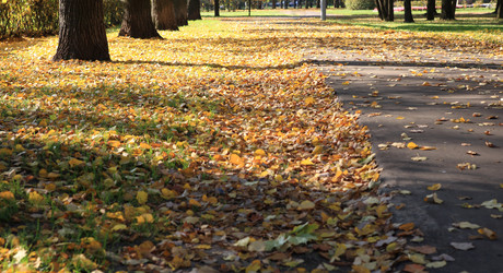 Similar image 21758360