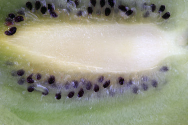 Similar image 21758368