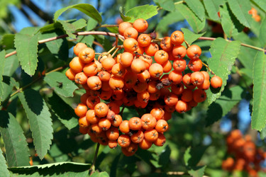 Similar image 21758370