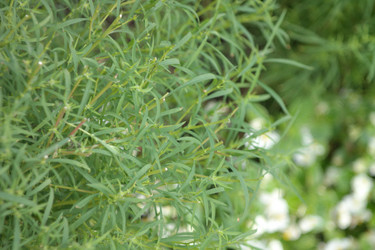 Similar image 21758383