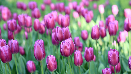 Similar image 21758387