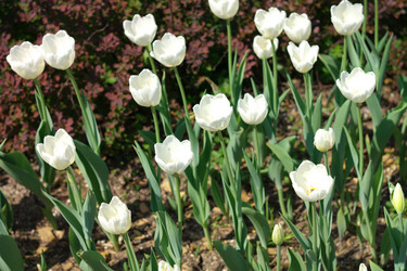 Similar image 21758402