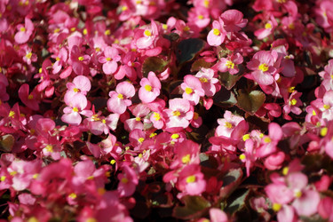 Similar image 21758403