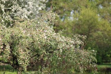 Similar image 21758410