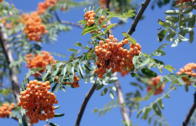 Similar image 21758418