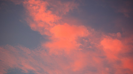 Similar image 21758458