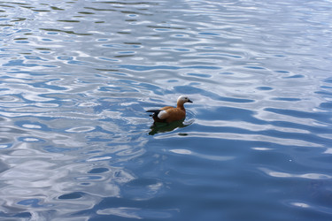 Similar image 21758467