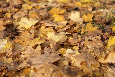 Similar image 21758476