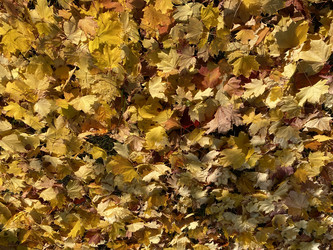 Similar image 21758481