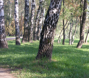 Similar image 21758093