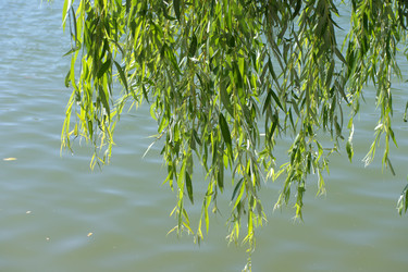 Similar image 21758100