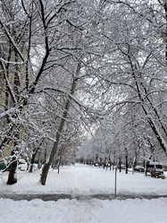 Similar image 21758101