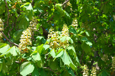 Similar image 21758102